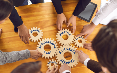 What is a customized solution provider with a specialty in clinical research?